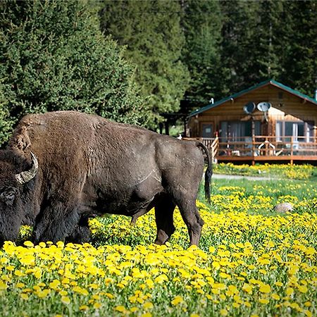 Silver Gate Lodging Кук-Сіті Екстер'єр фото